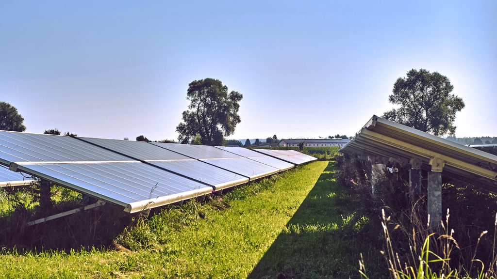 Green field with solar panels installed on a support on the ground.